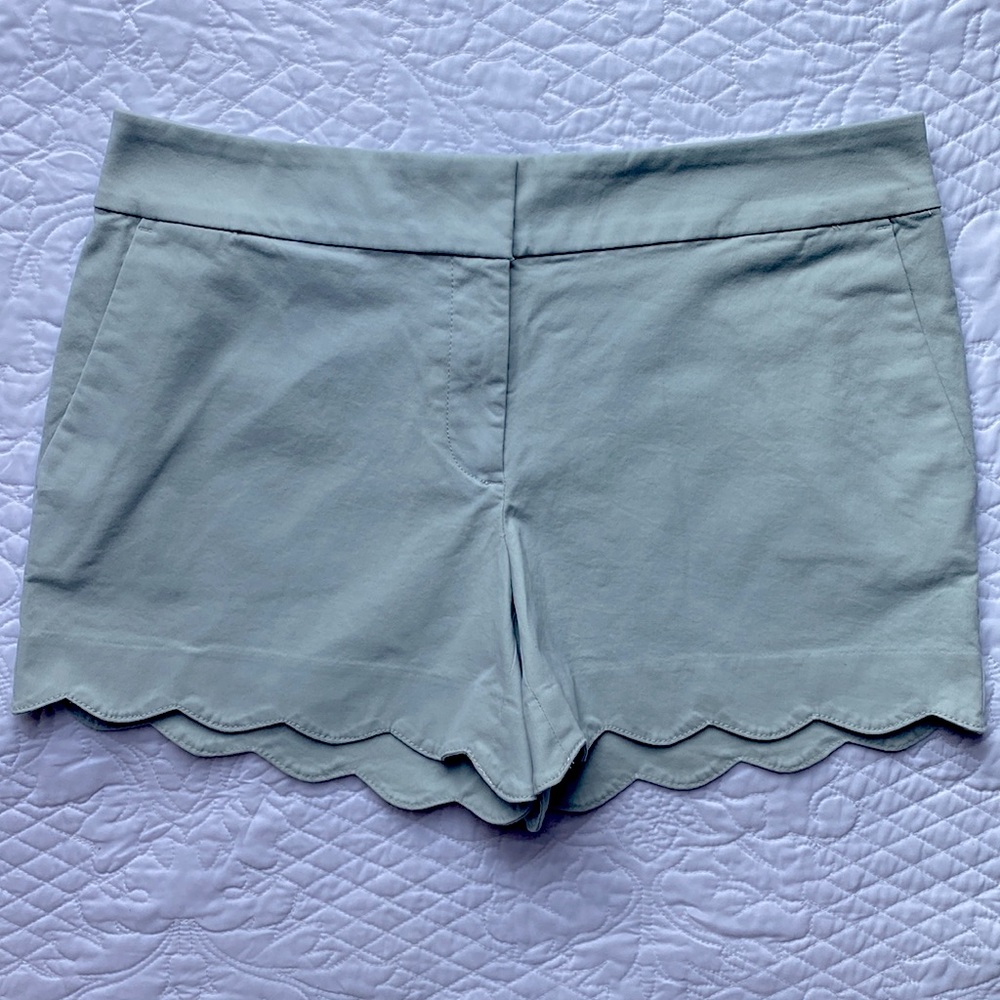 Loft Shorts Riviera Sz 6 NWT